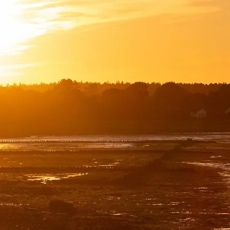 Hortensie - Reetdachhaus Petersen Nebel