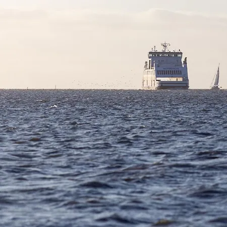 Hortensie - Reetdachhaus Petersen