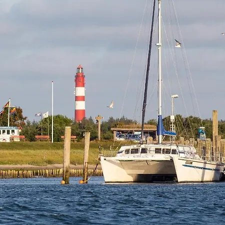 Hortensie - Reetdachhaus Petersen * Nebel
