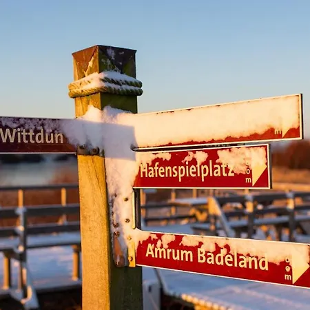 Hortensie - Reetdachhaus Petersen